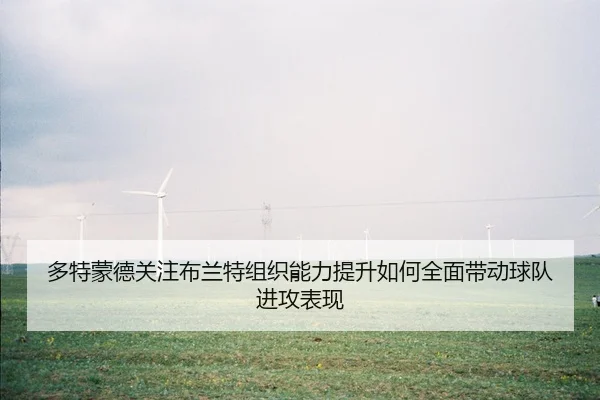 多特蒙德关注布兰特组织能力提升如何全面带动球队进攻表现